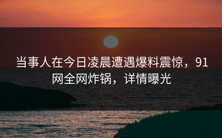 当事人在今日凌晨遭遇爆料震惊，91网全网炸锅，详情曝光