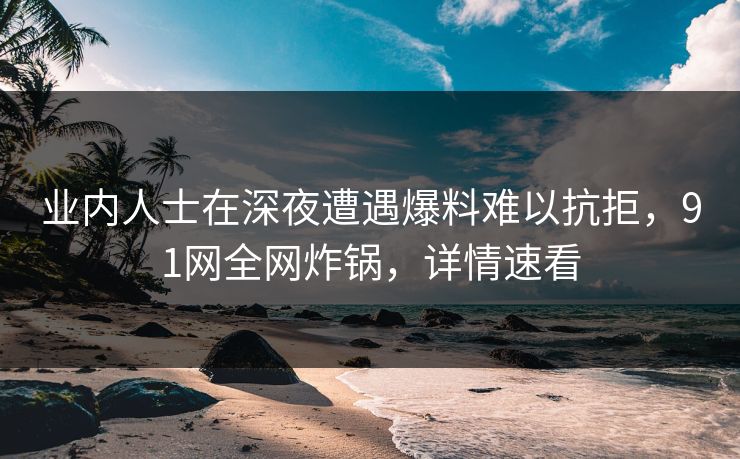 业内人士在深夜遭遇爆料难以抗拒，91网全网炸锅，详情速看